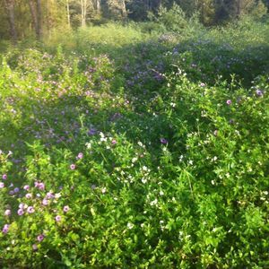 Meet your Posher, Johnathan